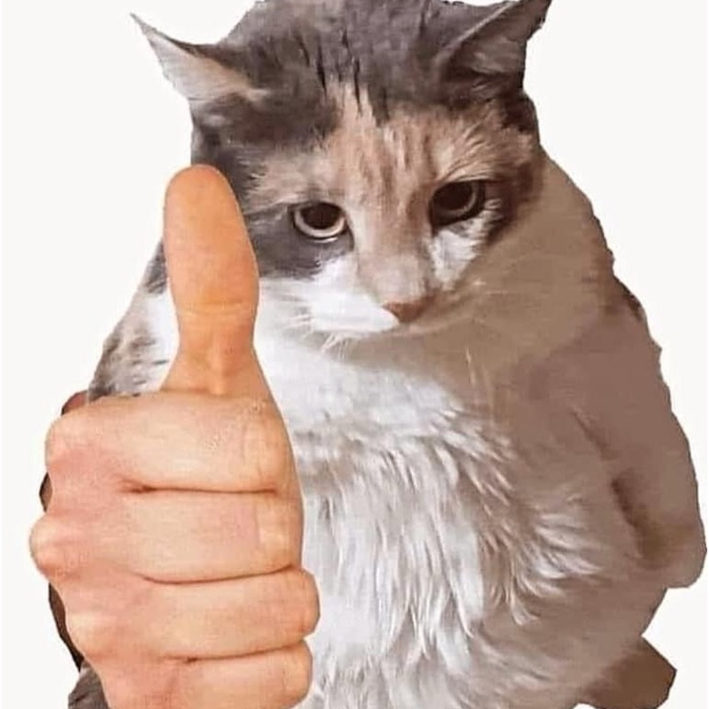 Meet your Posher, Cristina